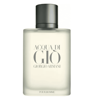 ACQUA DI GIO EAU DE TOILETTE POUR HOMME - 100ML