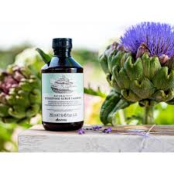 Segunda imagem do produto Davines NaturalTech Detoxifying Scrub - Shampoo 250ml