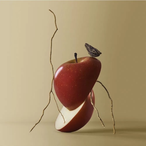 Product main image - 5f9bcbe3-1354-492c-804c-754ac8e9dd8a