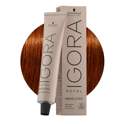 Igora Royal - Absolutes - Todas as Cores 60g - 6-70 Louro Escuro Acobreado Natural