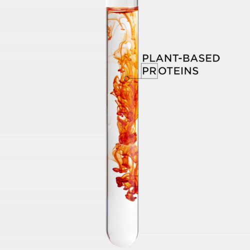 Product main image - 238a0c40-e14d-46e7-b096-d535ba39a301