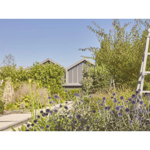 Product main image - 81e46615-072a-4e12-a559-5ffd9429c65f