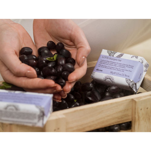 Product main image - 304680cb-038f-40c4-8ed9-be6a078b2b5f