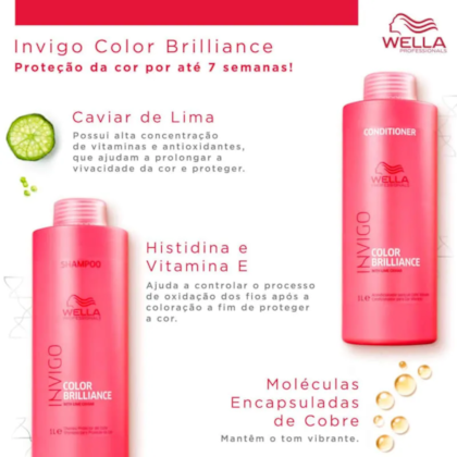 Segunda imagem do produto Kit Invigo Color Brilliance Salon Duo (2 Produtos)