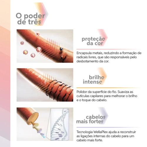 Product main image - 9b3a22b3-4dc6-416a-91ab-4fadf4e5032a