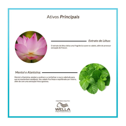 Product main image - e5c762e2-3d92-46f4-8d22-01adbb83c18e